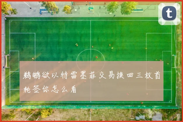 鹈鹕欲以特雷墨菲交易换回三枚首轮签你怎么看