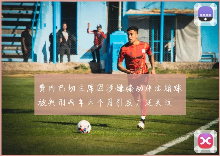 费内巴切主席因涉嫌煽动非法赌球被判刑两年六个月引发广泛关注