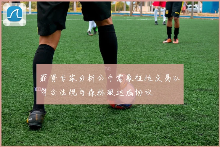 薪资专家分析公牛需象征性交易以符合法规与森林狼达成协议
